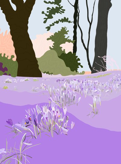 Crocus di primavera (arte digitale) da Evan Sklar