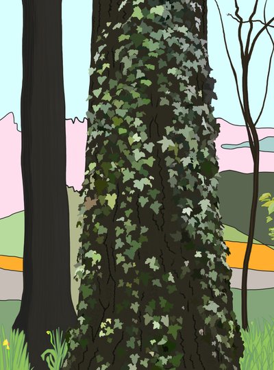 Albero con edera (arte digitale) da Evan Sklar