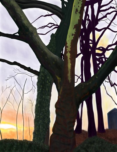 Alberi, Prospect Park, Brooklyn (arte digitale) da Evan Sklar