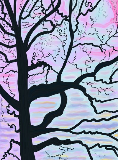 Alberi e rami all