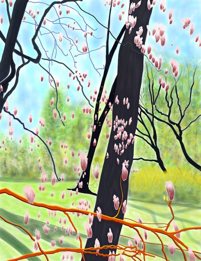 Albero dei tulipani da Evan Sklar