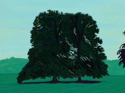 Due alberi di Lindsen in un campo (arte digitale) da Evan Sklar