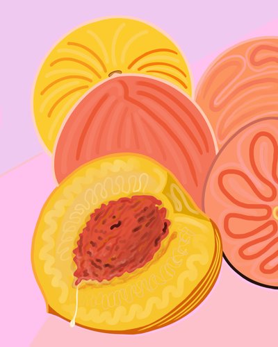 Wet Peach, Brooklyn (arte digitale) da Evan Sklar