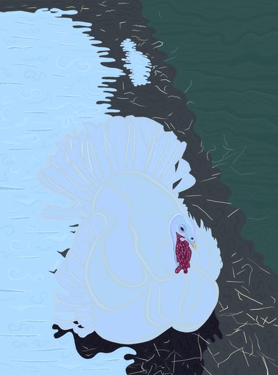 Tacchino bianco nella neve alla fattoria. (arte digitale) da Evan Sklar