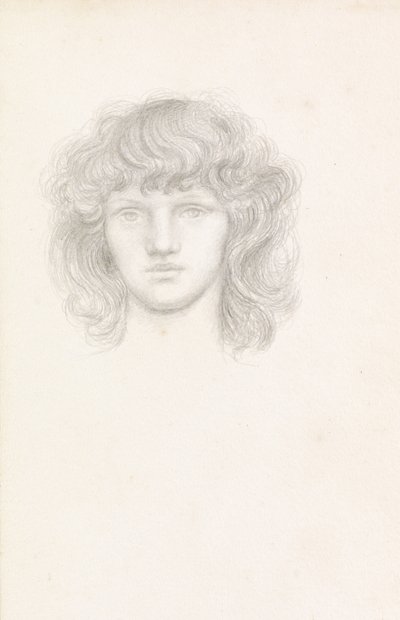 Testa di una ragazza da Evelyn De Morgan