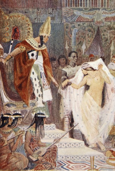 Illustrazione da 