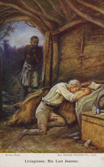David Livingstone da Evelyn Stuart Hardy