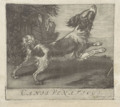 Cane che salta, Canis Venaticus da Evert van Sweinen