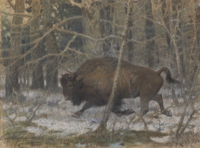 Il bisonte dei boschi da Evgeny Alexandrovich Tichmenev