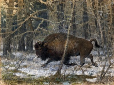 "Il bisonte dei boschi" Dipinto a pastello di Evgeny Alexandrovich Tichmenev (Tikhmenev) (1869-1934) 1910 Collezione privata da Evgeny Alexandrovich Tikhmenev