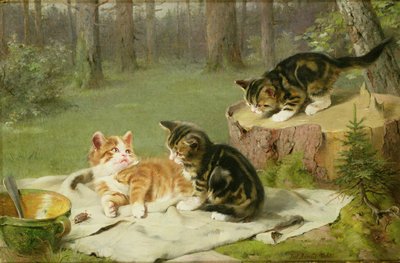 Gattini che giocano da Ewald Honnef