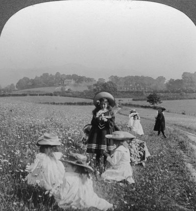 Bambini in un prato, Keswick, Cumbria da Excelsior Stereoscopic Tours