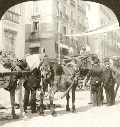 Carrozza di Stato, Calle Mayor, Madrid da Excelsior Stereoscopic Tours