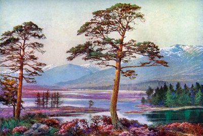 Sul Loch Tulla, Black Mount, Argyllshire, Scozia da F. C. Varley