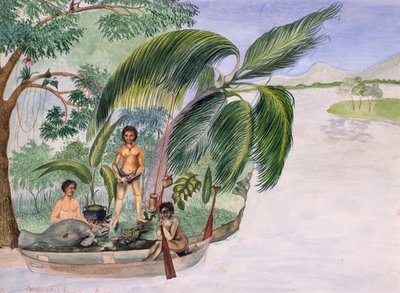 Caccia al manati da F. Deiezmann