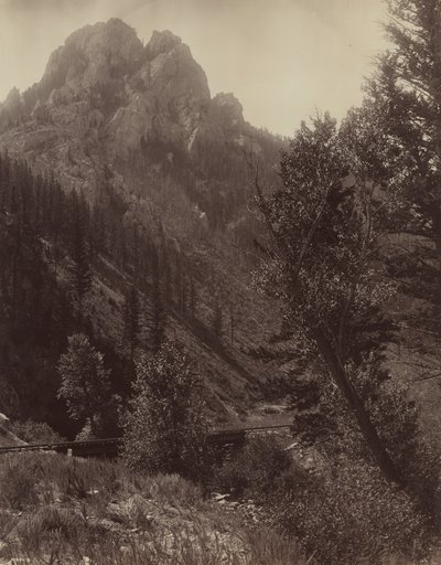 Senza titolo, c. 1884 da F. Jay Haynes