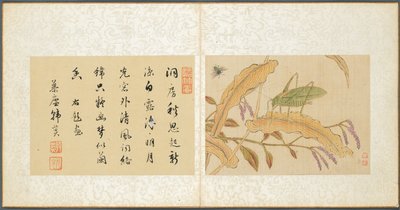 Album di Soggetti Vari, Foglio 7, 1600s da Fan Qi