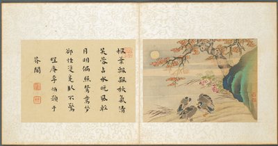 Album di soggetti vari, Foglio 8, 1600s da Fan Qi