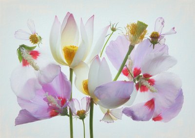  da Fangping Zhou