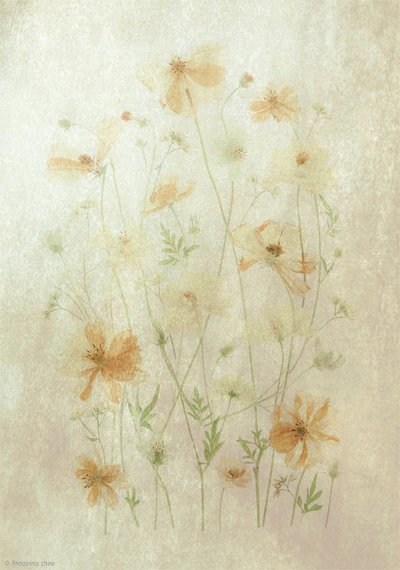  da Fangping Zhou