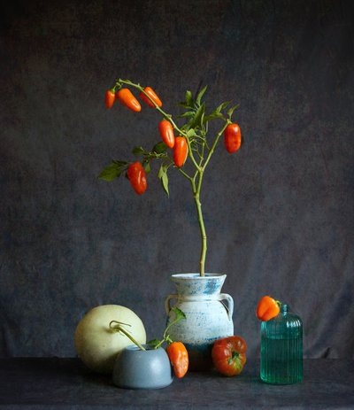 Pomodori arancioni: natura morta rustica da Fangping Zhou