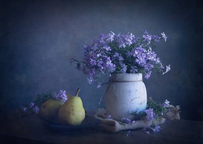  da Fangping Zhou