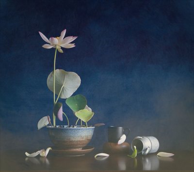  da Fangping Zhou