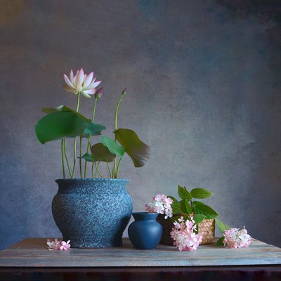  da Fangping Zhou