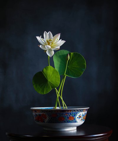  da Fangping Zhou