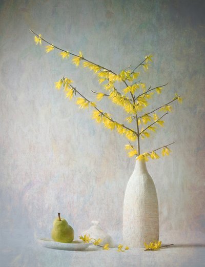 Fiori gialli e pera da Fangping Zhou
