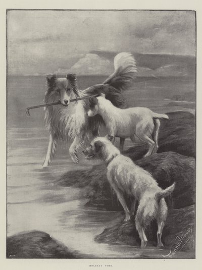 Tempo di vacanza da Fannie Moody