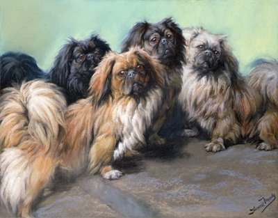 Cocchi viziati da Fannie Moody