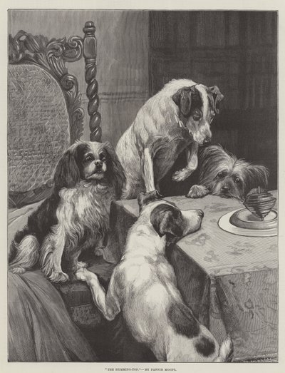 La trottola da Fannie Moody