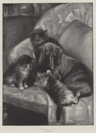 Zampe di velluto da Fannie Moody