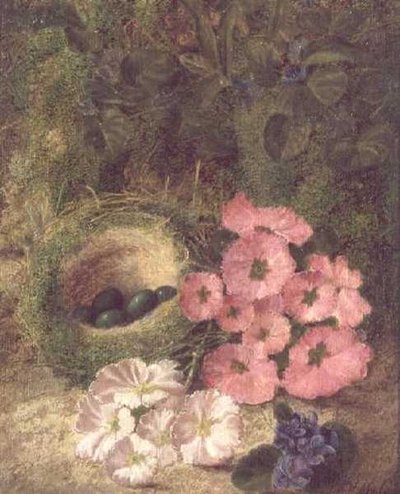 Primavera (nido con rose canine) da Fanny Jane Bayfield