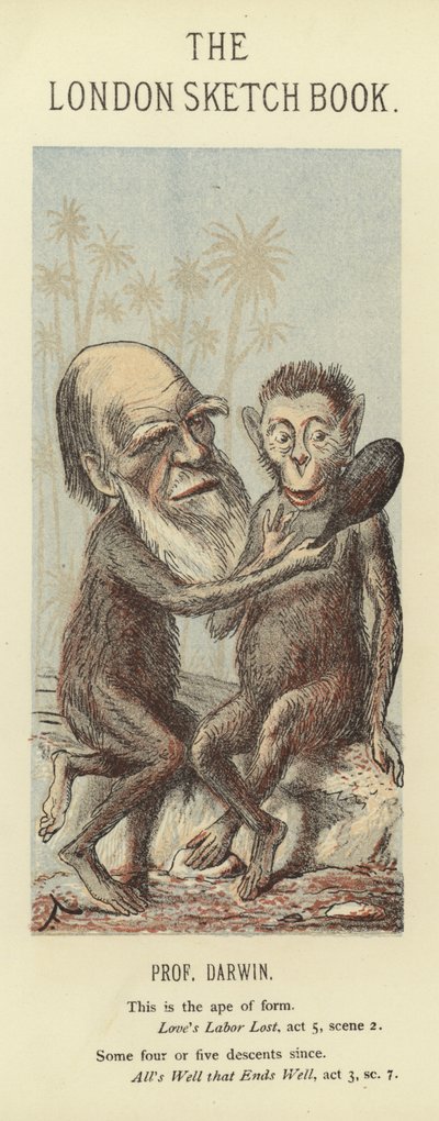 Caricatura di Charles Darwin da Faustin