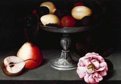 Stand con prugne, pere e una rosa, ca 1602 da Fede Galizia