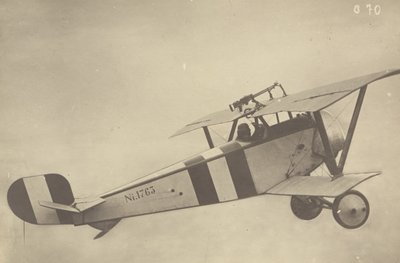 [Profilo di un Nieuport 17 (aereo) in volo]. da Fedele Azari