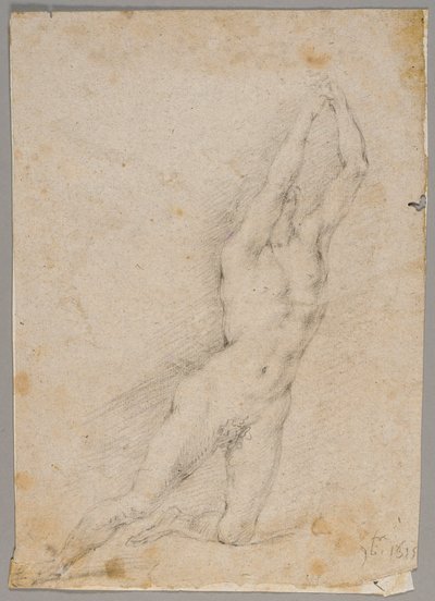 Disegno da Fedele Fischetti