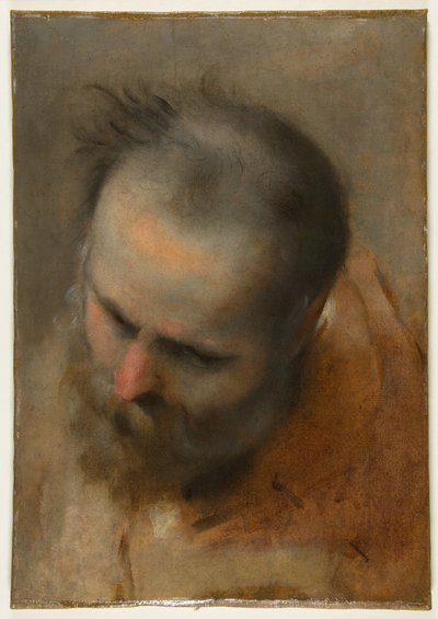Testa di uomo barbuto che guarda in basso a sinistra (Nicodemo) da Federico Barocci