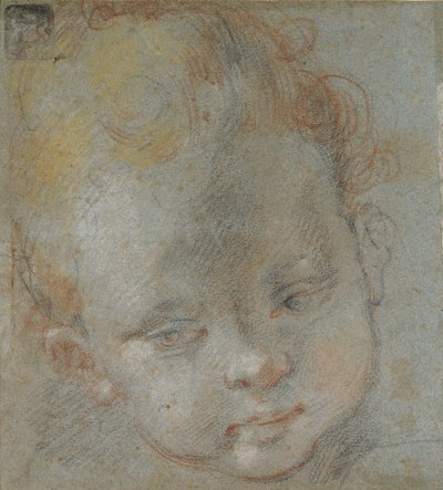 Testa di un bambino, fine XVI secolo da Federico Barocci