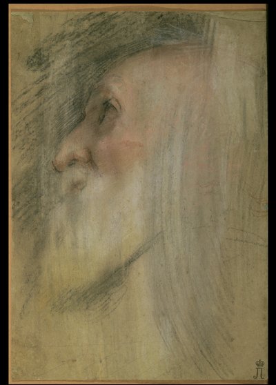 Testa di un vecchio in profilo, c.1575-9 da Federico Barocci