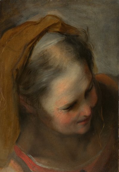 Testa di una vecchia che guarda in basso a destra da Federico Barocci