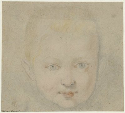 Testa di bambino da Federico Barocci