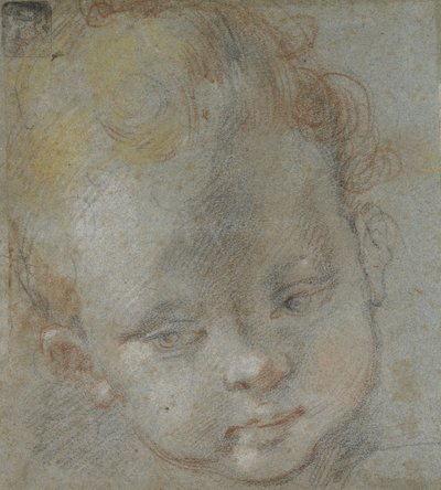 Recto: Testa di un Bambino da Federico Barocci