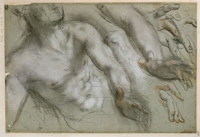  da Federico Barocci