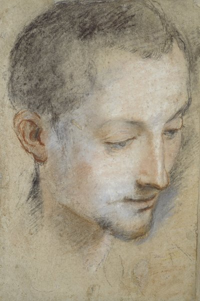 Studio della testa di un giovane uomo da Federico Barocci