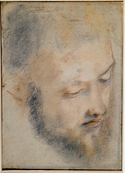 Studio di Testa Disegno di Barocci da Federico Barocci