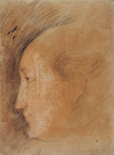 Testa di donna di profilo a sinistra da Federico Barocci