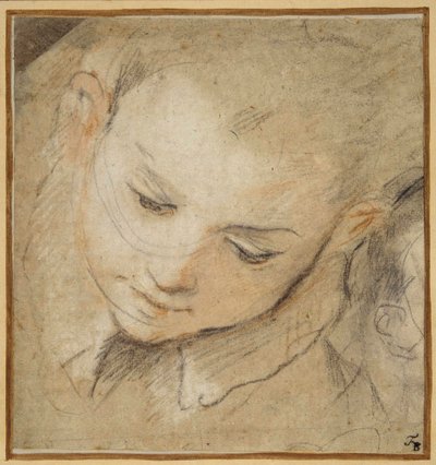 Testa di un ragazzo che guarda in basso da Federico Fiori Barocci or Baroccio